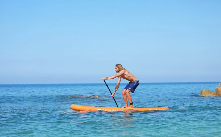  Product Spotlight: The Fusion of Aqua marina