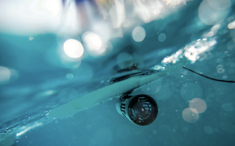  Magazine: Embracing the E-volution