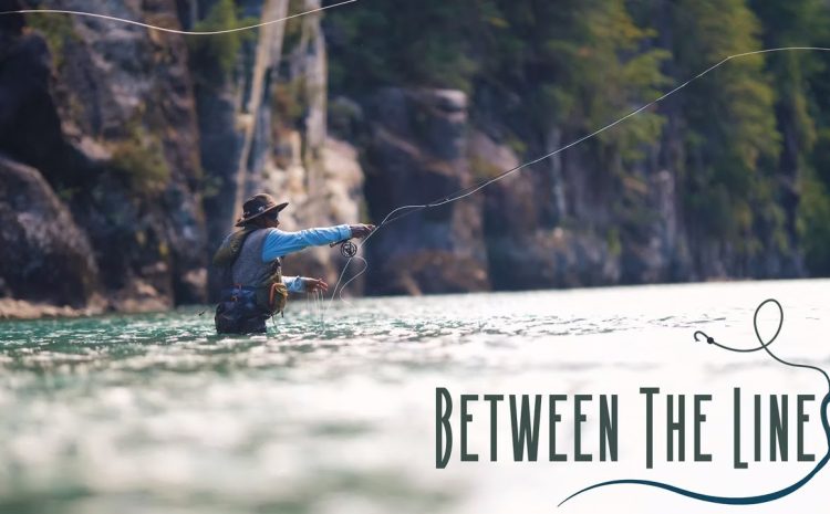 Film Release: Between the Lines